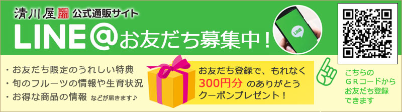 LINEお友だち募集!300円クーポンプレゼント