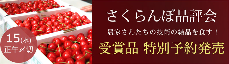 さくらんぼ品評会