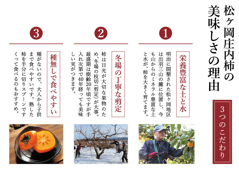 ギフト庄内柿通販なら|山形・・松ヶ岡庄内柿