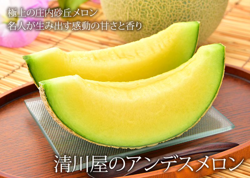 アンデスメロン 清川屋 アンデスメロン 清川屋