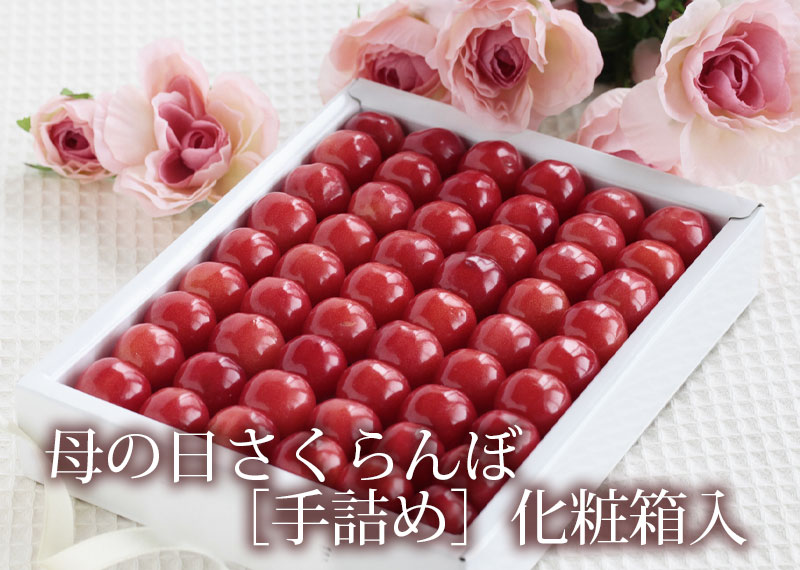 母の日さくらんぼ 化粧箱入 清川屋 母の日さくらんぼ 化粧箱入 清川屋