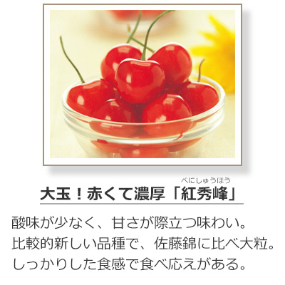 さくらんぼの品種-紅秀峰