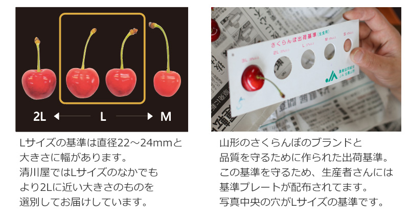 さくらんぼの大きさ