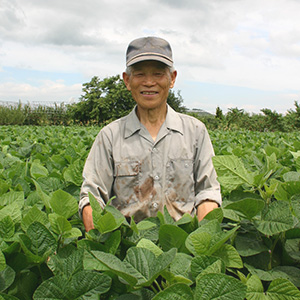 秘伝豆 400g 3袋 知る人ぞ知る希少な枝豆 山形県産 産地直送枝豆 秘伝豆 清川屋