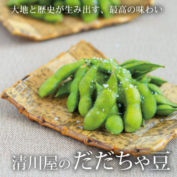 白山だだちゃ豆 だだちゃ豆通販なら 本場鶴岡 清川屋のだだちゃ豆 白山だだちゃ豆 だだちゃ豆通販なら 本場鶴岡 清川屋のだだちゃ豆