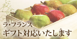 ラ フランスq A 清川屋 ラ フランスq A 清川屋