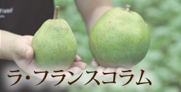ラ フランスq A 清川屋 ラ フランスq A 清川屋