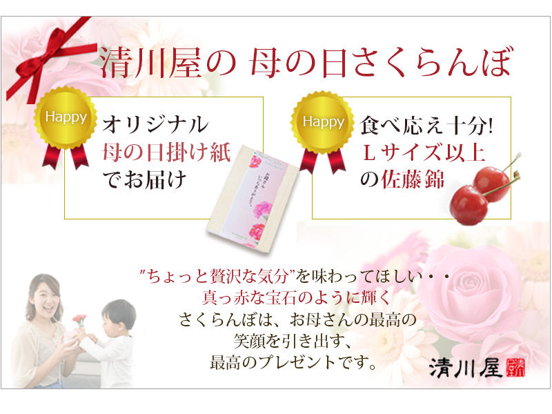 母の日 さくらんぼ 佐藤錦 パック入100g 2 清川屋のサクランボ 3月から予約スタート 母の日佐藤錦 清川屋