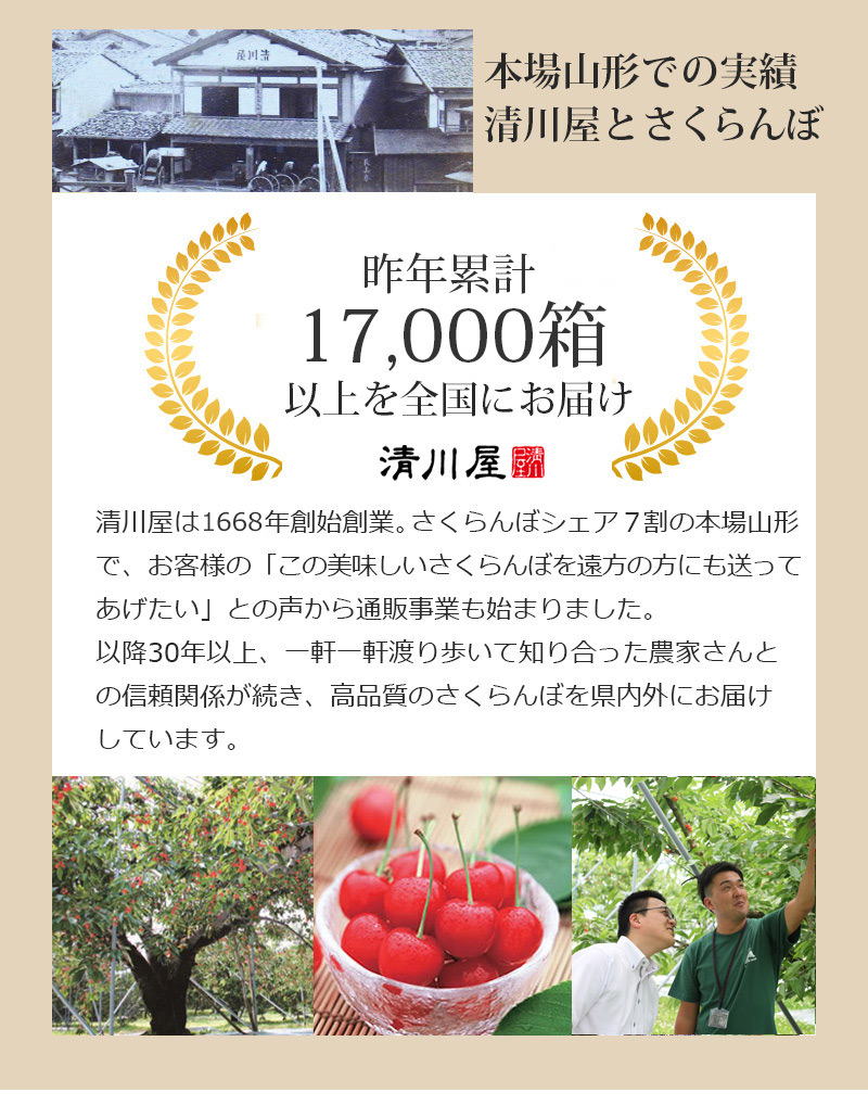 母の日 さくらんぼ 佐藤錦 24粒 木箱入 清川屋のサクランボ 母の日佐藤錦 清川屋