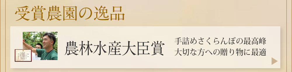 大臣賞
