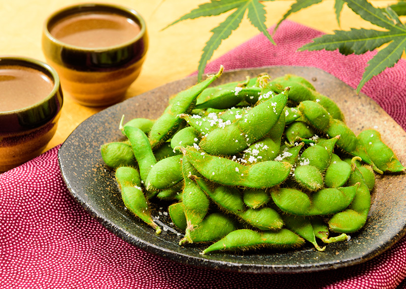 白山村産 だだちゃ豆 400g 3袋 早生豆 8月上 中旬お届け 発祥の地のブランド 枝豆 清川屋のダダチャ豆 白山だだちゃ豆 茶豆 袋入白山だだちゃ豆 早生豆 清川屋