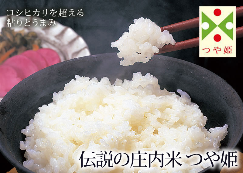 伝説の庄内米 つや姫 10kg 米・ごはん 清川屋