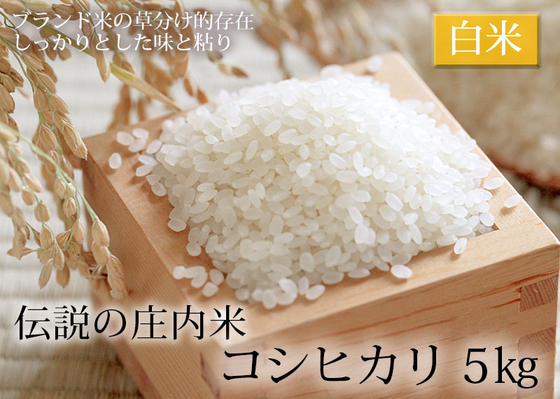 伝説の庄内米 コシヒカリ 5kg 山形県産 特別栽培米 令和2年度産 コシヒカリ 清川屋