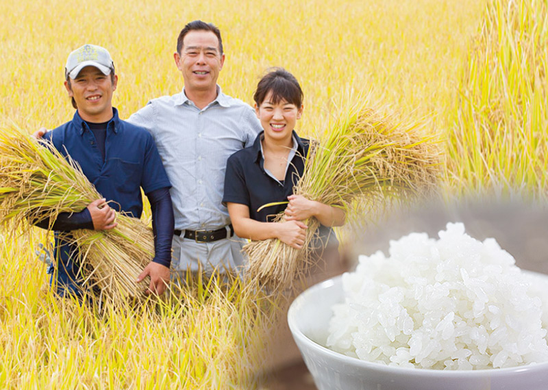 井上農場 無洗米 つや姫 2kg ( 山形県産 令和4年 ) 井上農場のつや姫 清川屋