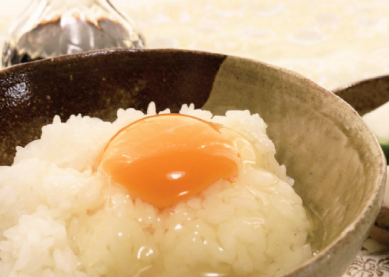 究極のtkg 卵かけごはん セット 名水赤がら生卵 たまご つや姫 雪若丸 山形県産 お取り寄せグルメ 卵 清川屋 究極のtkg 卵かけごはん セット 名水赤がら生卵 たまご つや姫 雪若丸 山形県産 お取り寄せグルメ 卵 清川屋