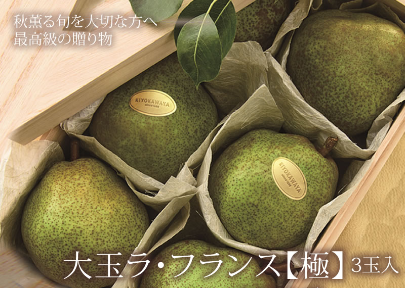 大玉 ラ フランス 極 6 7l 3玉入 清川屋のラフランス 大玉ラ フランス 極 清川屋 大玉 ラ フランス 極 6 7l 3玉入 清川屋のラフランス 大玉ラ フランス 極 清川屋