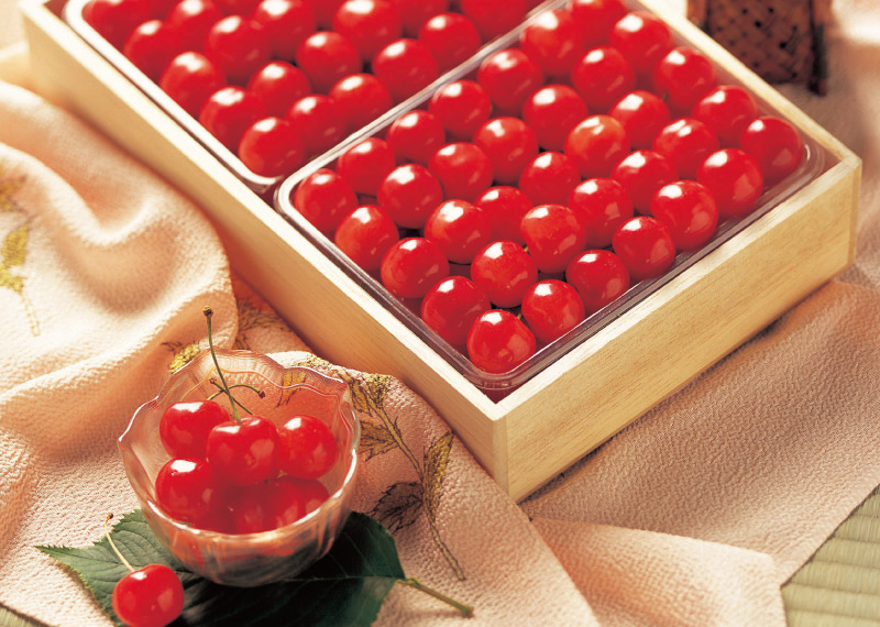 Bnubhxphajjsom Bnubhxphajjsom