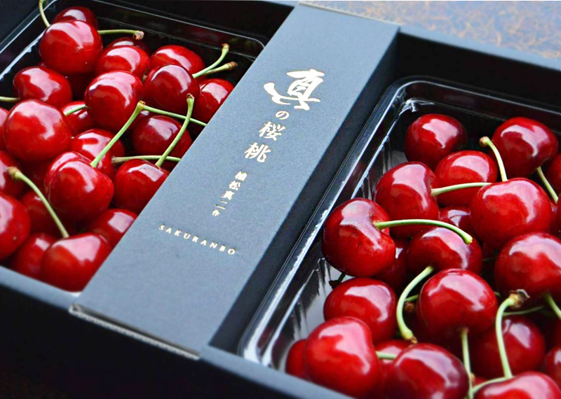 真の桜桃 2lサイズ 1kg 佐藤錦 大粒バラ詰め 清川屋のサクランボ 真の桜桃 清川屋