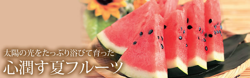 心潤す夏フルーツ 清川屋