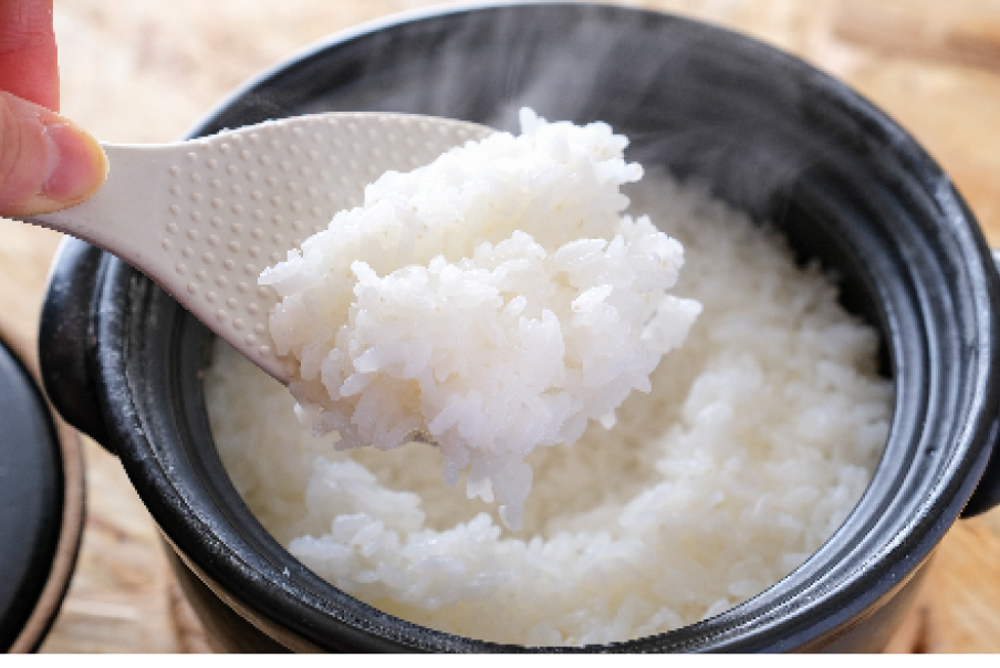 「山形美味しいお米の定期便」2026年価格一覧