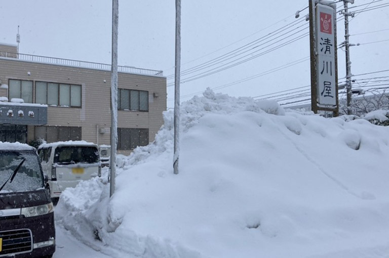 今年は大雪？2022年鶴岡の雪事情