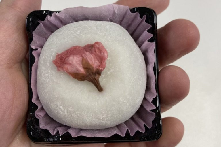 春は和菓子！「桜大福」「稲花餅」感想レポート