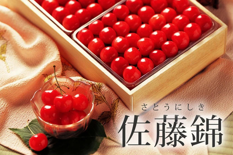 100年目の実り 『 佐藤錦 』 【清川屋メールマガジン】 | 清川屋