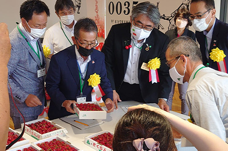 6月17日（金）「山形県さくらんぼ『佐藤錦』品評会」が開催されました