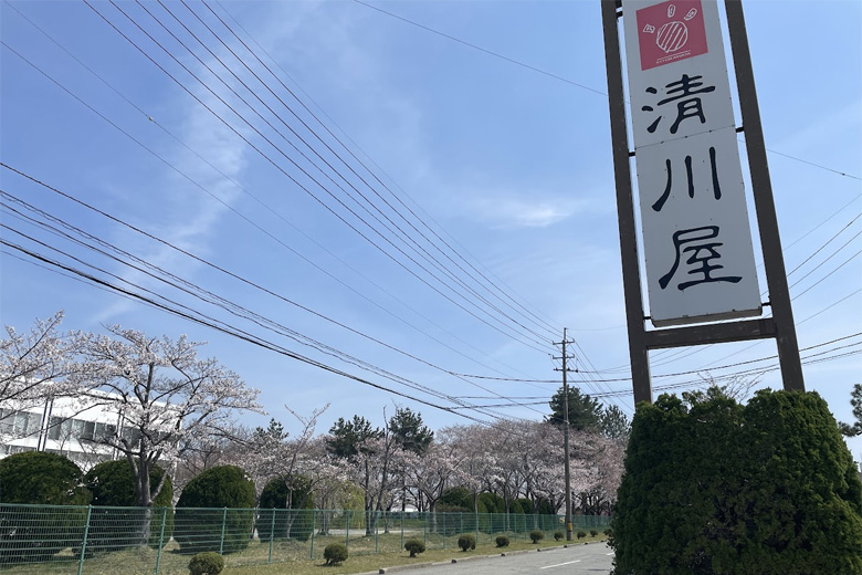 お団子・笹巻・○○○○…？今食べたい♪春のもっちりお菓子特集