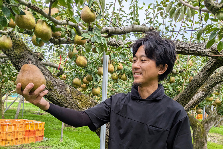 マルホ観光果樹園の堀拓也さん。「美味しい年になりそう」と嬉しそうな表情です。