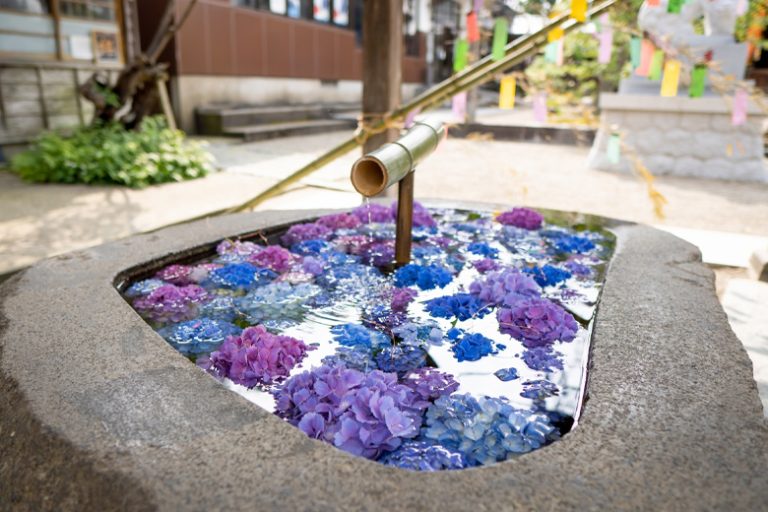 おすすめスポット⑤：愛されスポット「荘内神社」