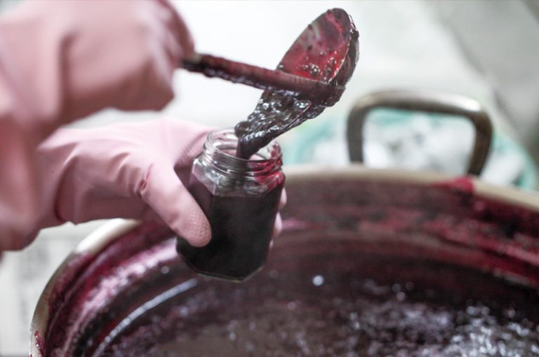 月山高原鈴木農園のブルーベリー