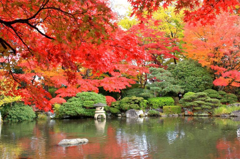 「もみじ公園」
